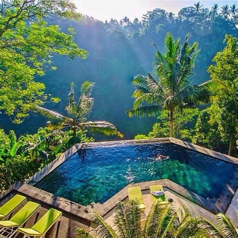 The Globe Wanderer On Instagram Ubud Bali Follow Timothysykes For