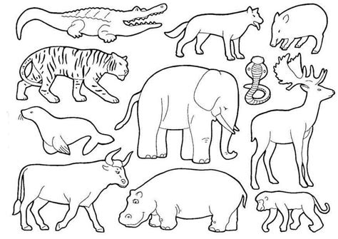 Desenhos De Animais Da Floresta Para Colorir E Imprimir Colorironline