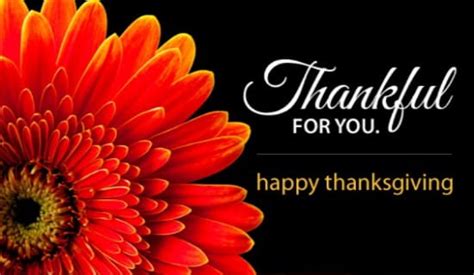 Thankful For You Ecard Free Thanksgiving Cards Online