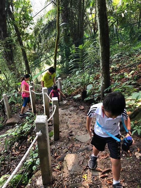 A slice of nature amidst the concrete jungle that is kuala we get to enjoy & appreciate our malaysian rainforest while escaping the hustle & bustle of city life without travelling far. Now Open: Taman Tugu Forest Trail Location - Dennis G. Zill