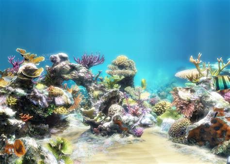 Sim Aquarium Download