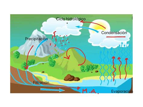 Ciclo Hidrológico Science Earth Science Water Cycle Showme