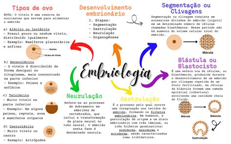 Mapa Mental Embriologia Biologia