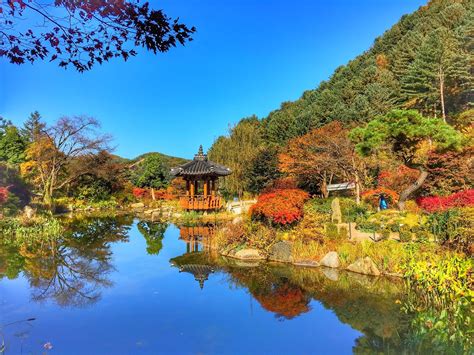 Korea 511 Nami Island Petite France The Garden Of Morning Calm