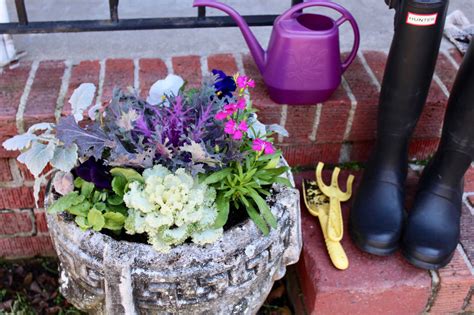 Late Winter Early Spring Planter Ideas