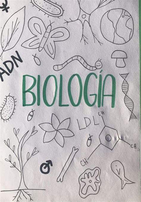 Arriba dibujos para biologia faciles última camera edu vn