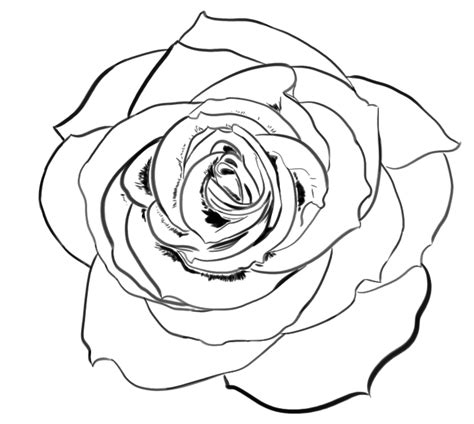 Nothing But A Rose Free Lineart By Wolfride On Deviantart