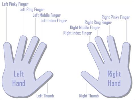 Which Finger Do You Use Most On Your Screen Touch Phones