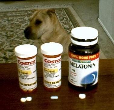 Popular separation anxiety medications for dogs include dexmedetomidine: DogAware.com Articles: Chill Pills -- Anxiety Medications ...