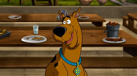 Scooby Doo Scoobypedia Fandom Powered By Wikia