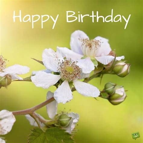 Whether you use our print option or send your greeting online , our gallery of birthday cards offers a wide variety of styles and designs, including many that let you insert a favorite photo, and you can access the stickers menu for multiple categories of fun images to add to your project. 108 best images about Happy birthday flower on Pinterest ...