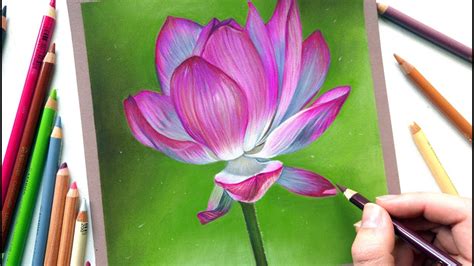 Drawing A Lotus Flower With Pastel Pencils Leontine Van Vliet Youtube