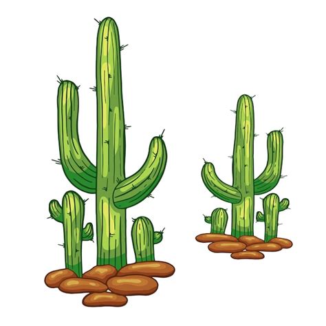 Premium Vector Vector Hand Drawn Cactus Isolated On White Flay