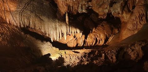Kents Cavern Torquay 2019 All You Need To Know Before You Go With