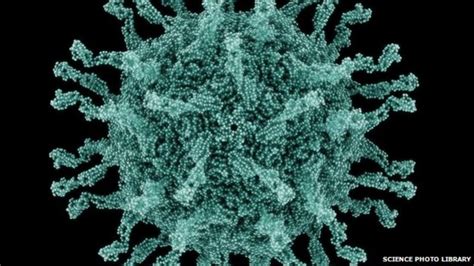 Polio Vaccinated British Man Shed Virus For 30 Years Bbc News