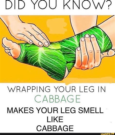 Did You Know Wrapping Your Leg In Cabbage Makes Your Leg Smell Like