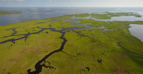 Large Step Ahead For 50 Billion Plan To Save Louisiana Coast