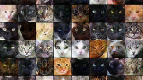 This Deep Learning Ai Generated Thousands Of Creepy Cat Pictures