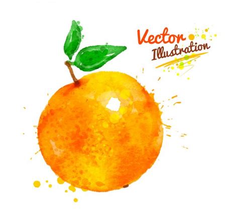 Orange Watercolor Stock Vectors Royalty Free Orange Watercolor
