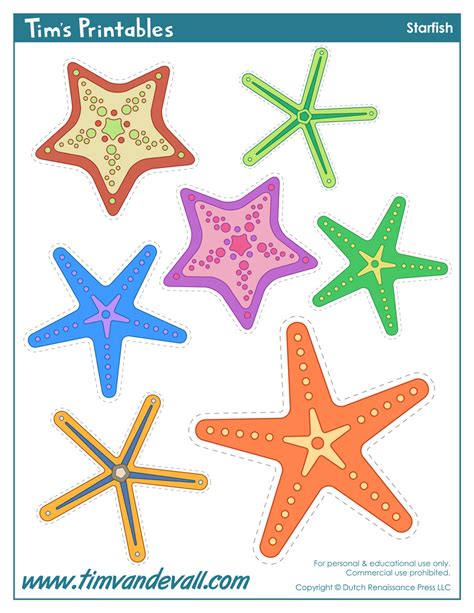 Starfish Template Sea Star Templates For Preschool Art