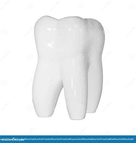 Image Of Human Molar Tooth On White Background For Texture And Logo