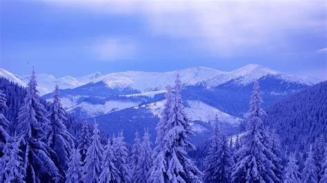 Blue Winter Mountains And Forest Hd Desktop Wallpaper