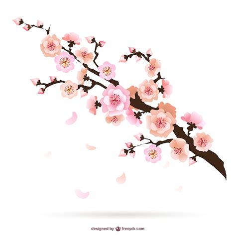 Free Vector Cherry Blossom Illustration