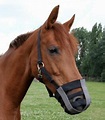 Museruola per cavallo in nylon - muzzle for horses | eBay