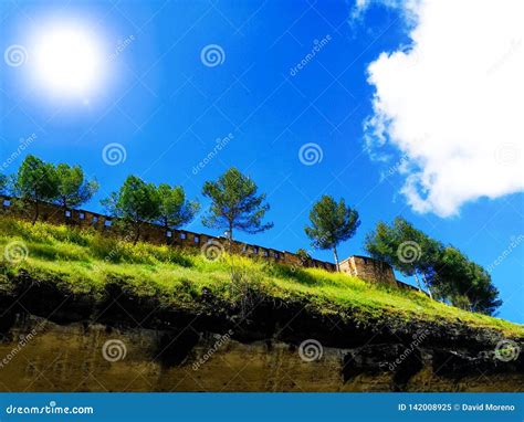 Beautiful Pine Trees On Background High Mountains Stock Image Image