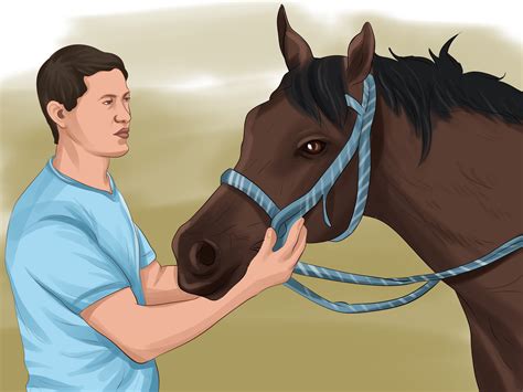 How To Choose A Horse For Therapeutic Riding 10 Steps
