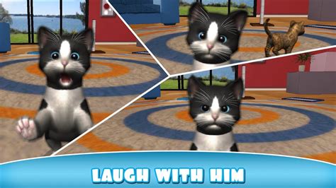 Daily Kitten Virtual Cat Pet Android İos Free Game Gameplay Vİdeo