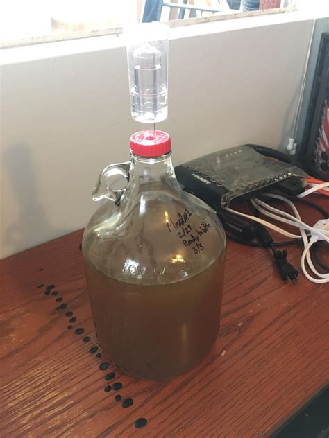My First Ever Homebrew Based On A Very Quickly Fermenting Recipe From