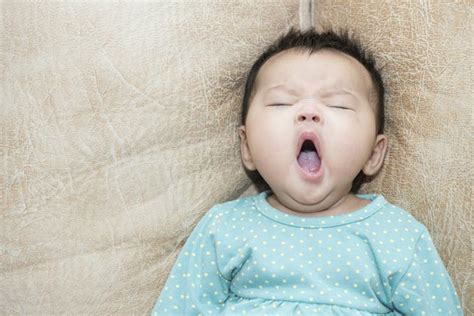 Frequency Of Yawning In Infants
