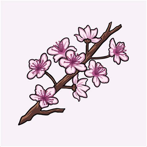 Cherry Blossom Vector 18745567 Vector Art At Vecteezy