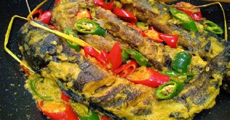 Masukkan babat goreng, aduk cepat, segera angkat. Resep Olahan Lele Pedas / Gulai Pedas ikan lele by choco30 ...