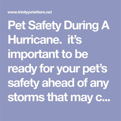 Pet Safety During A Hurricane Its Important To Be Ready For Your Pet