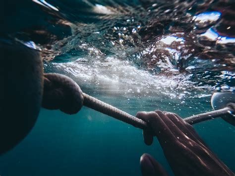 Person Holding Rope Under Water Photo Free Sea Life Image On Unsplash