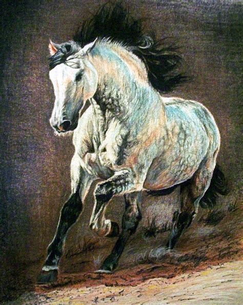 Conte And Colored Pencil Only For The Blue Drawing Horse Art Blue