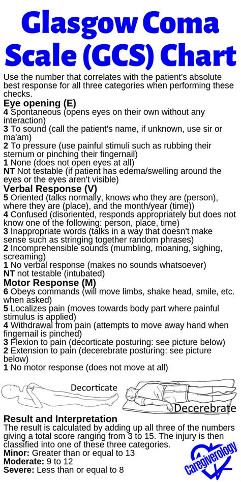 Glasgow Coma Scale Gcs Explained In Detail Caregiverology