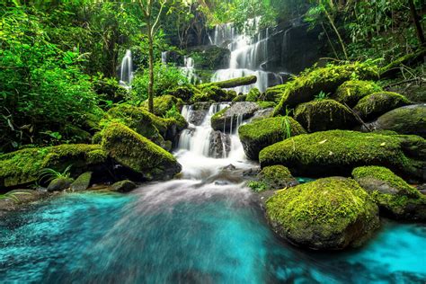 Green Forest Waterfall Traumhafter Posterdruck Photowall
