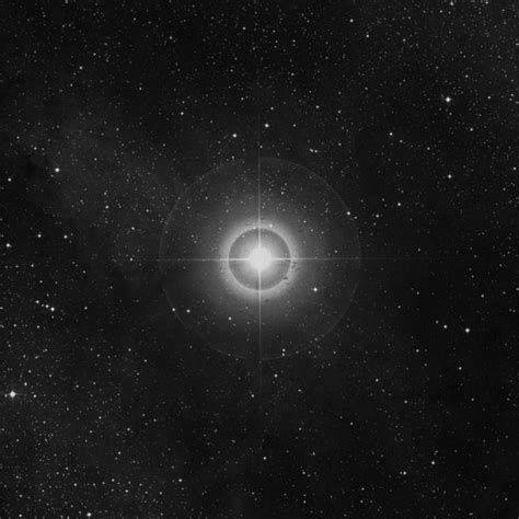 ξ Cygni Xi Cygni Star In Cygnus