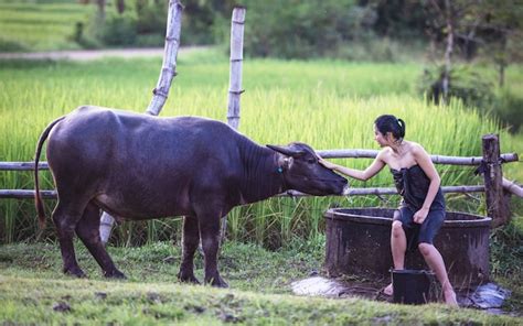 Premium Photo Woman Outdoor Bathing Thailand Countryside