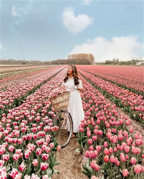 Best Tips For Visiting Tulip Fields In The Netherlands Where When How Sarah Chetrit S Lust