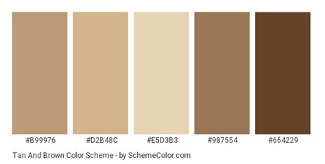 color scheme palette image brown color palette brown color schemes website color palette