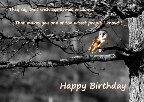 Happy Birthday Greeting Card Funny Saying Wise Old Owl Etsy Blank