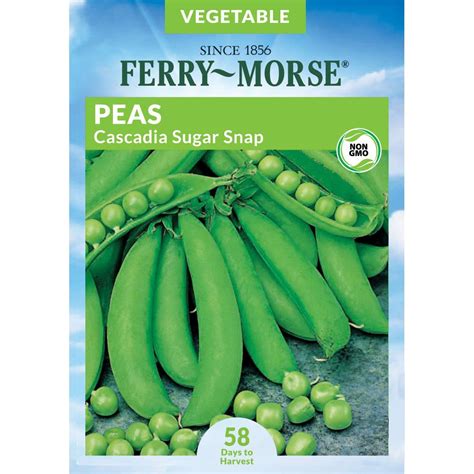 Pea Cascadia Sugar Snap Vegetable Vegetable And Herb Seeds At