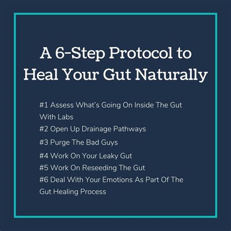 A 6 Step Protocol To Heal Your Gut Naturally Chelsie Ward