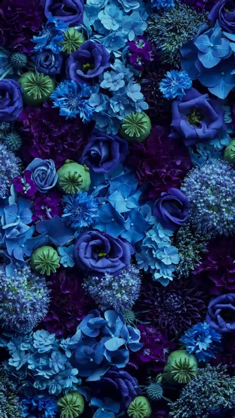 #lilac aesthetic flowers | blue flower wallpaper, purple. Pin by Bridgette Hart on FLOWERS | Blue flower wallpaper, Flower aesthetic, Flower wallpaper