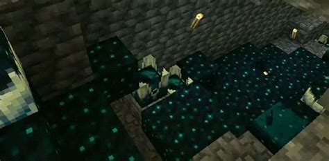 How To Defeat The Warden Mob In Minecraft Easily Guide