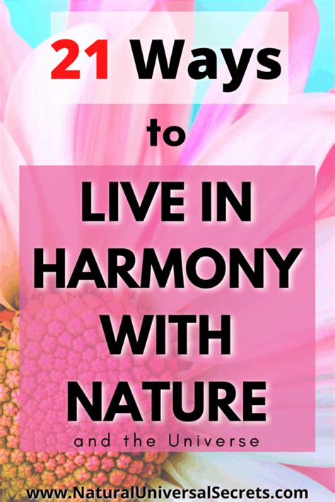 Ways To Live In Harmony With The Universe Natural Universal Secrets
